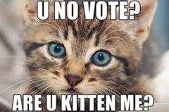 May be an image of cat and text that says "U NO VOTE? ARE U KITTEN ME?"